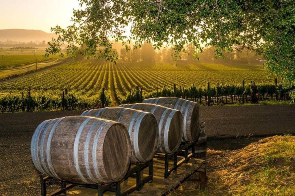The Container Retreat @ 290 Wine Trail #9 Get Away Today! Hye Dış mekan fotoğraf